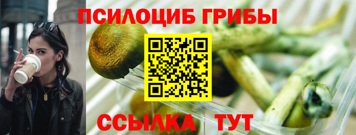 Псилоцибиновые грибы Magic Shrooms Дзержинский